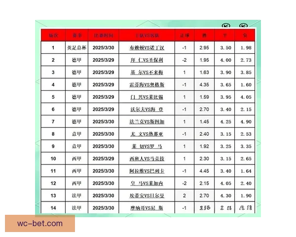 深度解析足球竞猜技巧与数据分析助你提高竞猜准确率