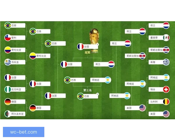 基于历史数据与球员表现的世界杯赛事竞猜分析与预测模型探讨